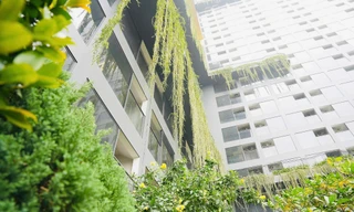 Có 2 tỷ đồng có nên đầu tư vào phân khúc BĐS kết hợp chăm sóc sức khoẻ?