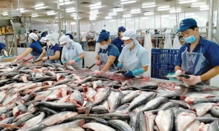 185.000 tỷ đồng cho vay nông - lâm - thủy sản, lãi suất rất thấp