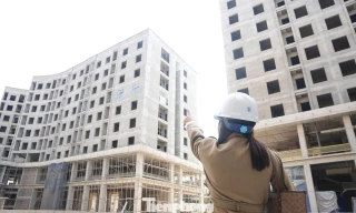 Vì sao giá bất động sản vẫn 'neo' cao?