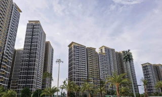 Ai đang mua chung cư cả trăm triệu đồng/m2?