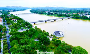 Huế bảo vệ ‘lá phổi xanh’ mùa mưa bão ra sao?