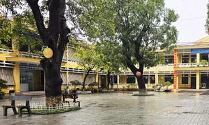Sau bữa ăn trưa, nhiều học sinh một trường tiểu học ở Huế bị nôn ói