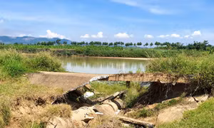 Đà Nẵng khẩn cấp ngăn sạt lở kè sông Vu Gia và sông Quảng Huế