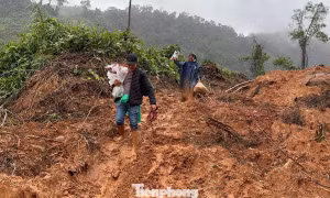 Xúc động hình ảnh thầy giáo vùng cao ôm hoa lội bùn vượt sạt lở đến trường 