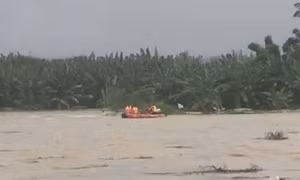 Cứu người dân mắc kẹt giữa dòng lũ dữ trên sông Trà Khúc
