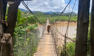 Rùng mình qua những cây cầu treo mục nát ở vùng cao Quảng Ngãi