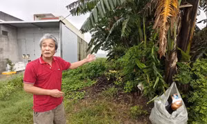 Vụ lô đất có sổ đỏ 18 năm nhưng 'không có trên thực địa': Tỉnh Quảng Ngãi yêu cầu xã giải quyết dứt điểm