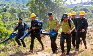 Đà Nẵng chủ động ứng phó, không để cháy rừng bùng phát mùa nắng nóng