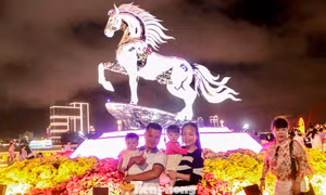 Đường hoa xuân Đà Nẵng đông kín người trước đêm giao thừa