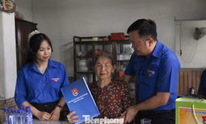 Ấm lòng những bữa cơm bên Mẹ của tuổi trẻ Đà Nẵng