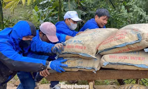 Dấu ấn 'áo xanh' trong chiến dịch Quang Trung