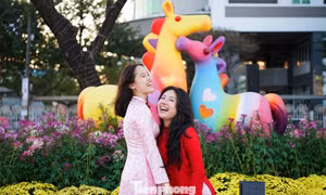 Bạn trẻ rạng rỡ check-in đường hoa Tết Đà Nẵng