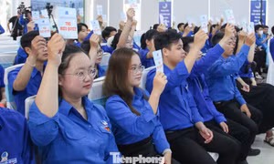 Đà Nẵng tổ chức Đại hội Hội Liên hiệp Thanh niên xã, phường