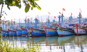 Tàu cá không đủ điều kiện ra khơi, chủ tàu được hỗ trợ 3 triệu đồng/tháng