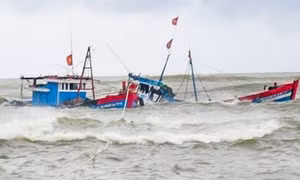 Tàu cá Việt Nam bị tàu Hàn Quốc đâm chìm, thuyền trưởng mất tích