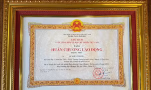 Nam sinh ở Gia Lai được Chủ tịch nước tặng Huân chương Lao động hạng Nhì