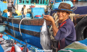 Xem ngư dân khui hầm, bán ‘lộc biển’ đầu năm