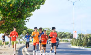 Sôi động phố biển Nha Trang