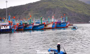 Gia Lai siết chặt chống khai thác IUU: Phân công đảng viên giám sát từng tàu cá