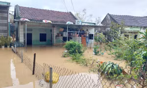 Mưa lớn gây ngập lụt ở Gia Lai