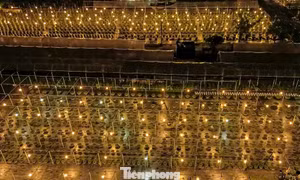 Nông dân Đà Nẵng chong đèn xuyên đêm chăm vụ hoa Tết