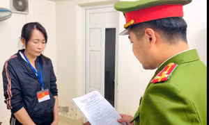 Khởi tố một giám đốc doanh nghiệp thực phẩm ở Huế về hành vi trốn thuế