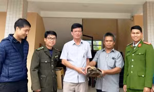Phát hiện con vật nguy cấp, quý hiếm khi làm nương rẫy