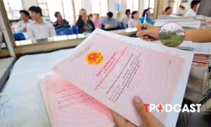 Chủ tịch xã ở Hà Nội được cấp phép xây dựng trên đất nông nghiệp