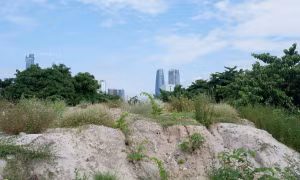 Cận cảnh khu 'đất kim cương' Đà Nẵng đấu giá dự kiến thu về hơn 1.300 tỷ đồng