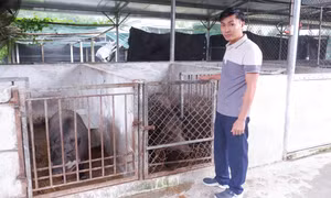 Người trẻ 'đánh thức' vùng đất hoang bằng nông nghiệp tuần hoàn