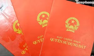 Cách xử lý sổ đỏ chỉ ghi tên đại diện hộ gia đình