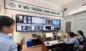 Chủ tịch Đà Nẵng chỉ đạo 'nóng' việc thu gom rác, phạt nguội tình trạng đổ trộm