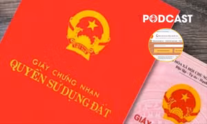 Tra cứu mã bất động sản