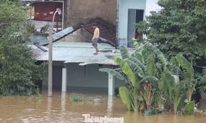 Cả xóm ở Đà Nẵng trắng đêm chạy lũ khi nước sông dâng không ngừng
