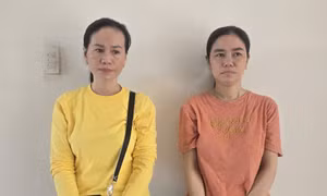 Dùng hồ sơ vay đáo hạn giả để lừa hơn 7 tỷ đồng