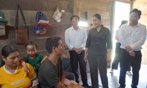 Cá ủ chua gây ngộ độc: Đà Nẵng siết trách nhiệm người đứng đầu