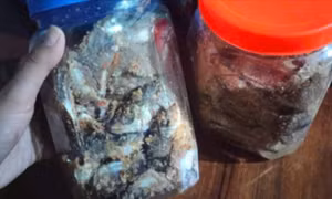  3 trẻ ở Đà Nẵng nhập viện cấp cứu sau khi ăn cá ủ chua