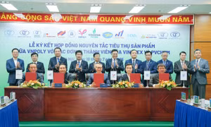 Petrovietnam - VINATEX tạo sự bền vững trong chuỗi cung ứng 'hóa chất - xơ sợi - dệt may'