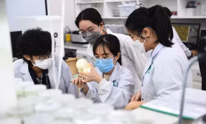Trường ĐH Quốc tế tuyển 2.300 chỉ tiêu, áp dụng công thức xét tuyển '3 trong 1'