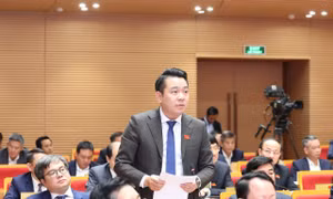 CEO tập đoàn đa ngành Tân Á Đại Thành tái đắc cử HĐND TP Hà Nội khóa XVII