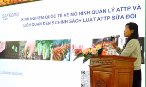Xây dựng một hệ thống quản lý an toàn thực phẩm khả thi hơn