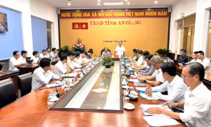 EVN và tỉnh An Giang tăng tốc đầu tư hạ tầng điện phục vụ APEC 2027