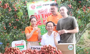 Bắc Ninh bứt phá trên không gian số: Từ kinh tế số đến xã hội số, kiến tạo công dân số