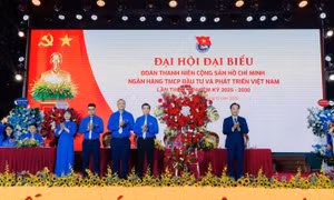 Tuổi trẻ BIDV: Khát vọng đổi mới, làm chủ vận hội BIDV Lớn - Mạnh – Xanh