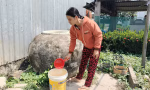 Cách nào giải bài toán nước ngọt mùa khô cho bán đảo Cà Mau?