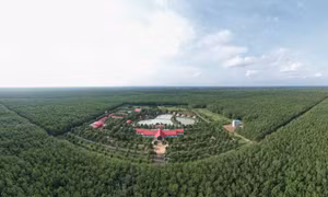 VRG kiến tạo hệ sinh thái đa ngành, nâng tầm vị thế ngành Cao su Việt Nam