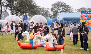 Đông Fest 2026 mở khóa 6 trạm Hè Chill: Chơi hết mình, săn vé Đông Stage cùng Biệt đội Gấu