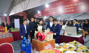Hà Nội dựng không gian Tết đặc biệt với 300 gian hàng OCOP, đặc sản vùng miền