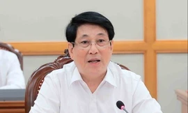 Bộ Chính trị cho ý kiến về phương án nhân sự đại hội tỉnh Hưng Yên, Cà Mau