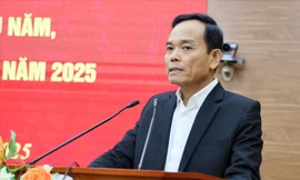 Theo dõi, nắm bắt tình hình kinh tế - xã hội các tỉnh, thành phố sau hợp nhất